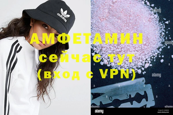 твердый Горняк