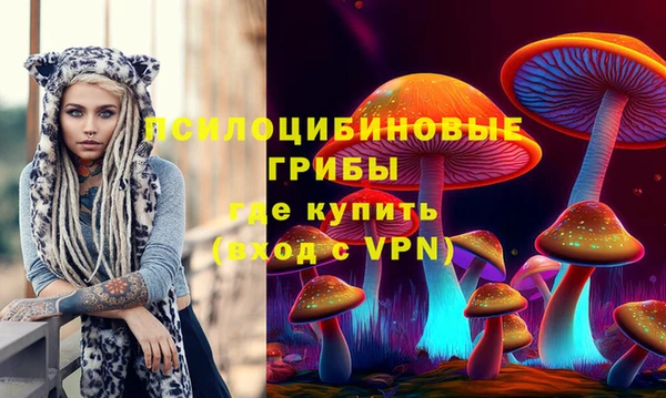 твердый Горняк
