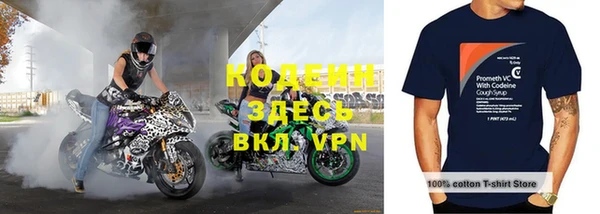 твердый Горняк