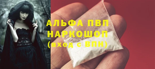 твердый Горняк